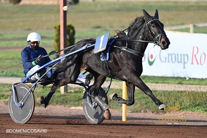 Gp Ilaria Jet ex Mipaaf Femmine Con Doyourbest Contro Le Imbattute 