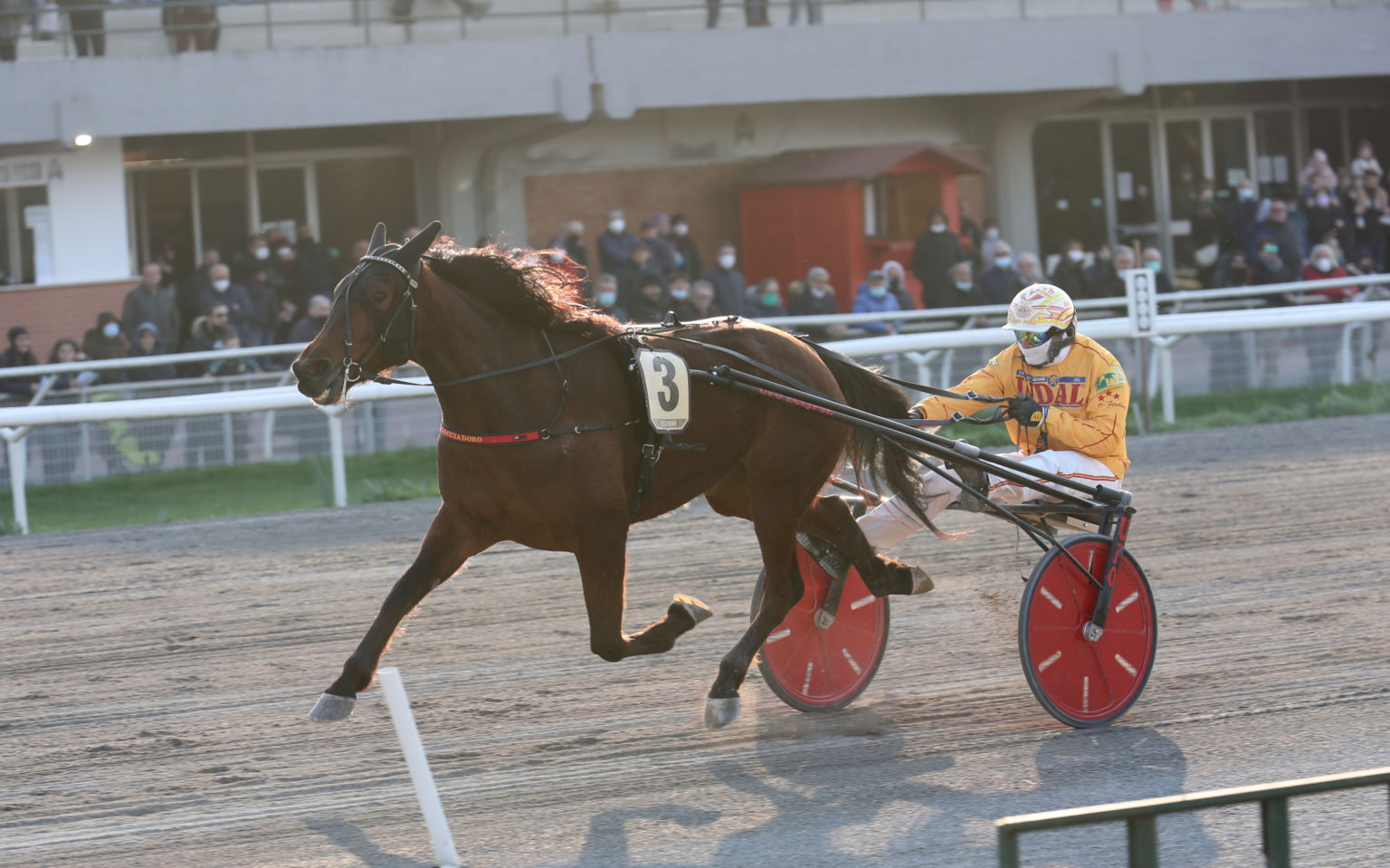 Nazionale Filly Con Delicious Gar Vs Due Italia Ma Attenzione A Diletta 
