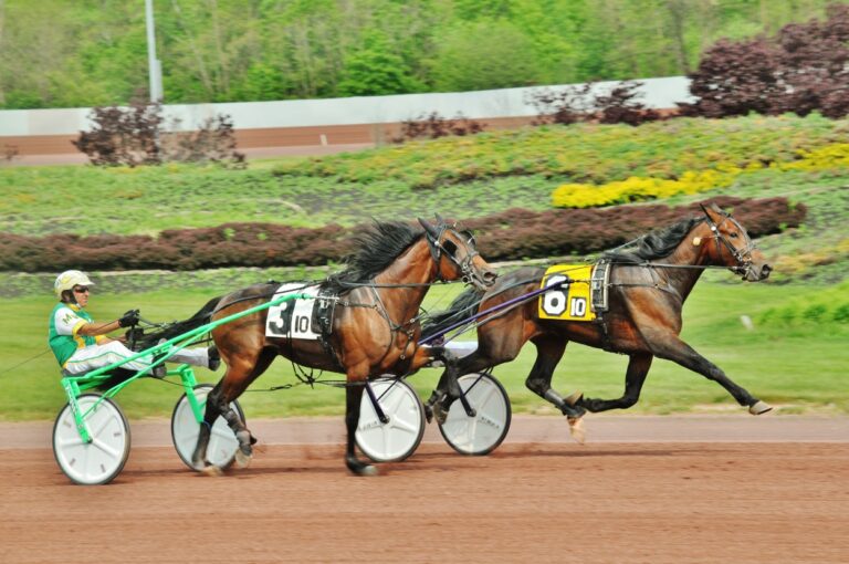 A pocono downs giovani volanti vendopuledri it